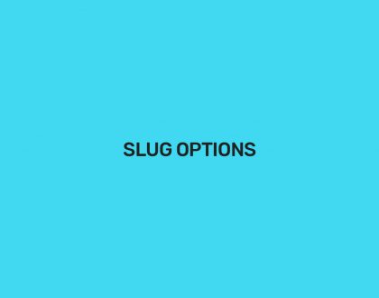 Slugg Options - WordPress Event Calendar
