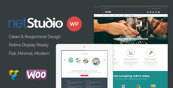 Netstudio - Multipurpose Responsive Theme 1