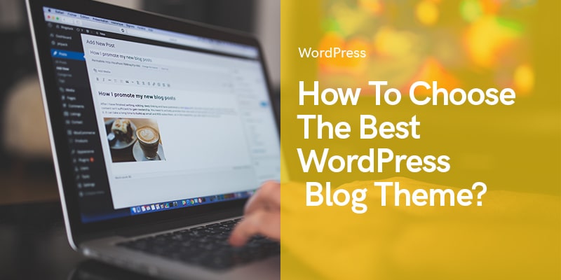 10 Practical Tips for Choosing The Best WordPress Blog Theme