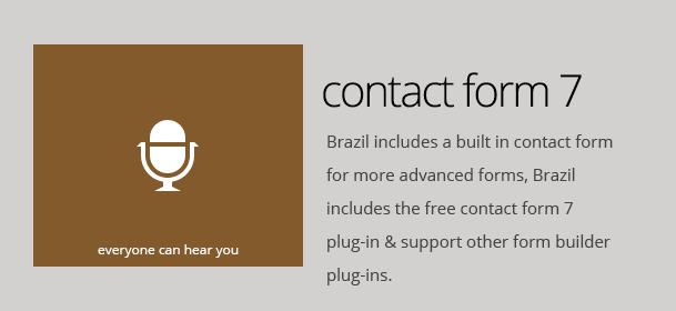 Brazil - Wordpress Theme 22