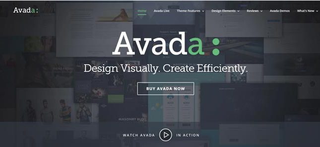 Avada Theme | Best Premium WordPress Themes