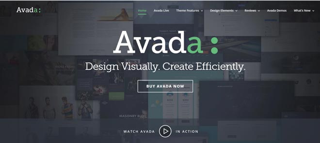 Avada wordpress theme for web design