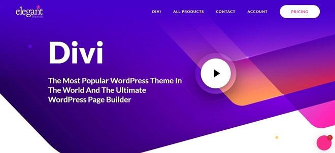 Divi wordpress theme for web design