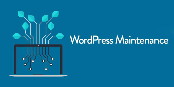 wordpress hosting theme