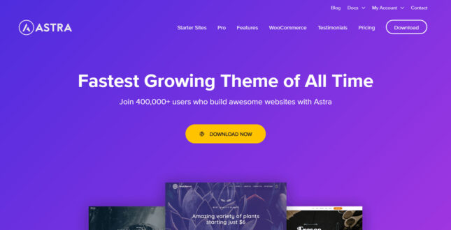 Astra Theme | Best Elementor themes