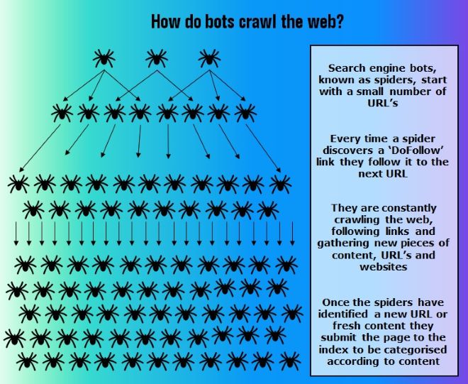 Spider Crawlers | Build the Perfect Website