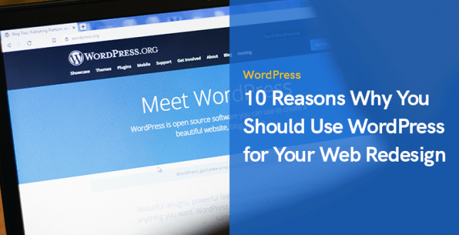 10 Reasons Why You Should Use WordPress for Your Web Redesign