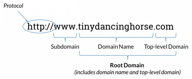 What Is a Domain Name