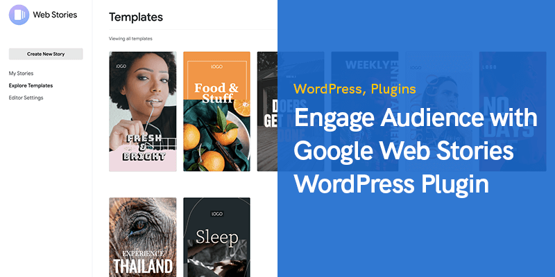 Engage Audience with Google Web Stories WordPress Plugin