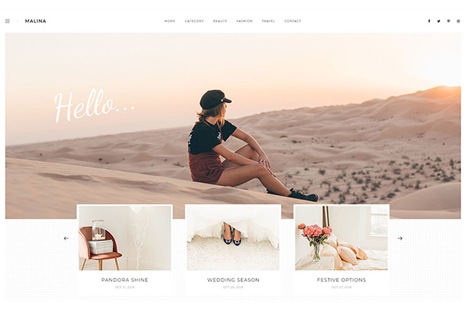 20+ Best WordPress Personal Blog Themes in 2023 1