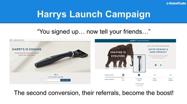 Harry | Setting Up a Small Business Website