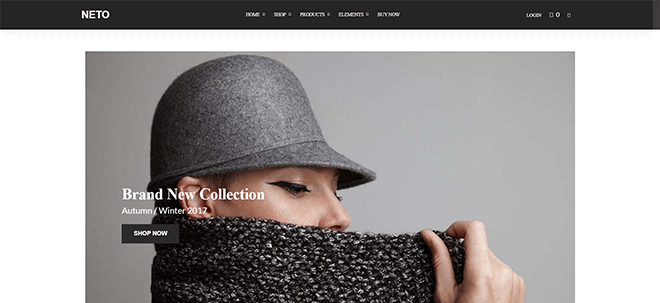 Neto | Best E-commerce WordPress Themes