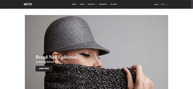 Beste E-Commerce WordPress Themes