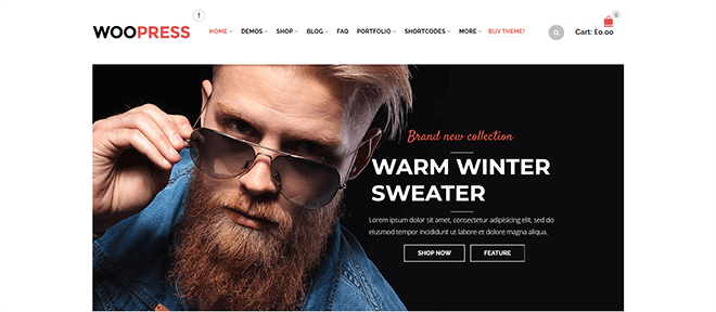 WooPress | Best E-commerce WordPress Themes