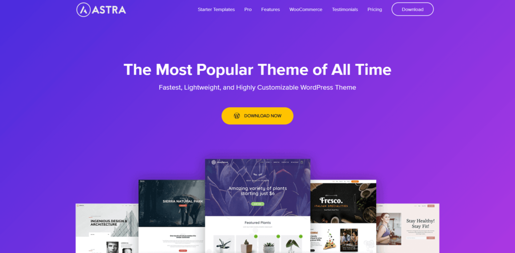 Astra | Best Free WooCommerce WordPress Themes