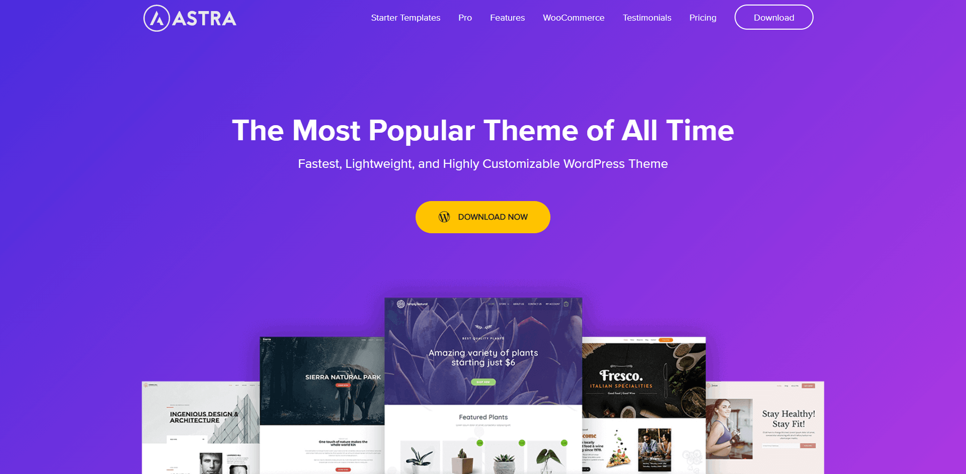 Astra Theme | Best Elementor themes