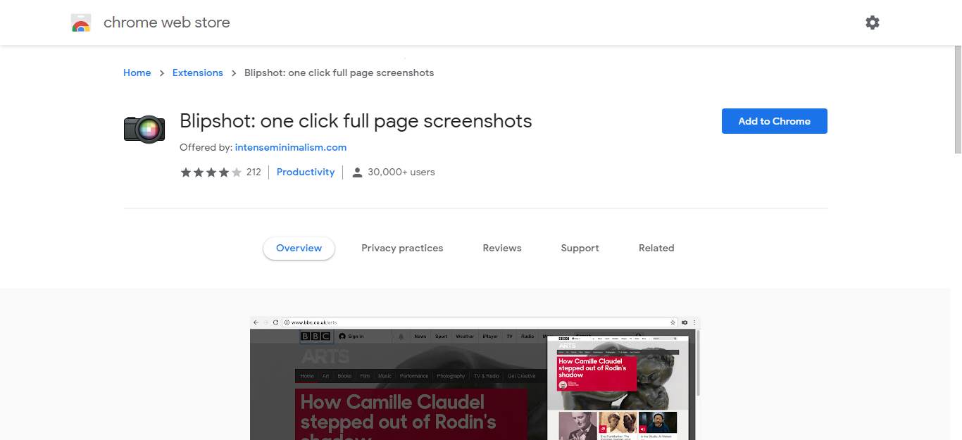 webpage screenshot google chrome extension