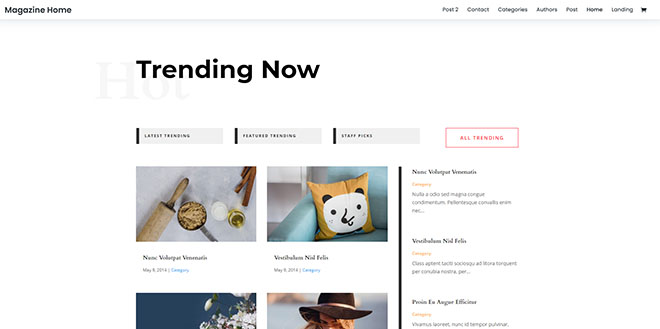 Divi | Best Premium WordPress Magazine Theme