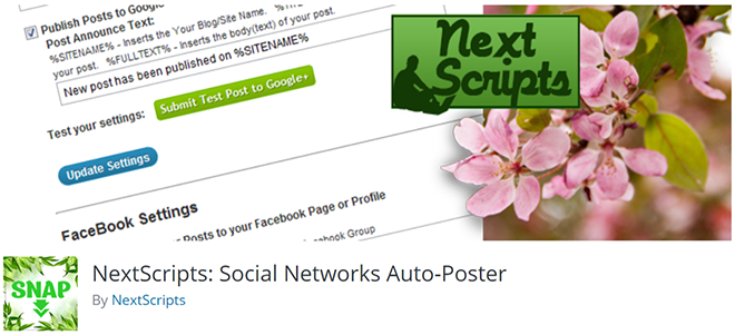 NextScripts WordPress 插件