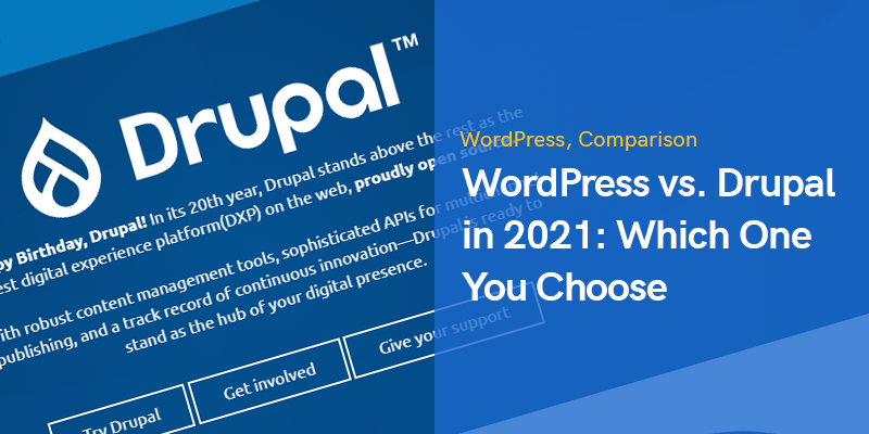 WordPress vs. Drupal in 2021: Which One You Choose