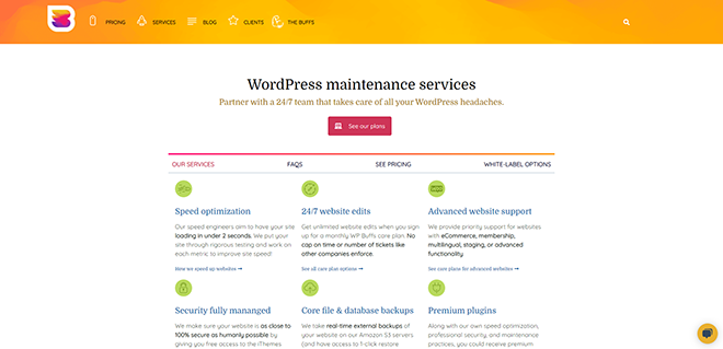 24_7 WordPress maintenance services from WP Buffs - wpbuffs.com