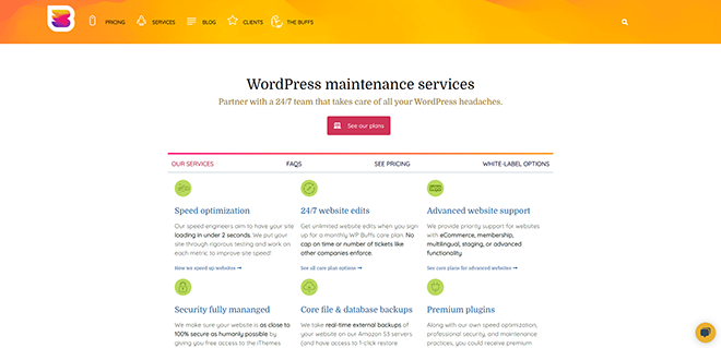 24_7 Services de maintenance WordPress de WP Buffs - wpbuffs.com
