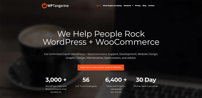 Services d'aide et de support WordPress - Obtenez une assistance illimitée dès aujourd'hui !_ - wptangerine.com