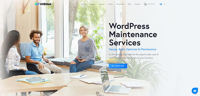 WordPress Maintenance Services - Design, Build & Optimize - webnus.net
