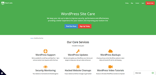 WordPress Support & Maintenance to Protect Your Investment - Newt Lab_ - newtlabs.co.uk