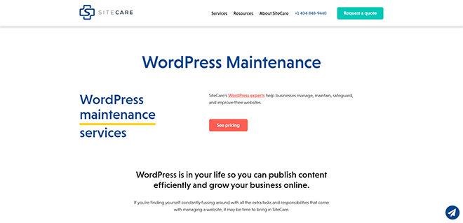 22 Best WordPress Maintenance and Support Services in 2023 12