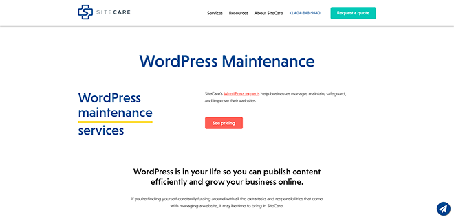Entretien du site WP