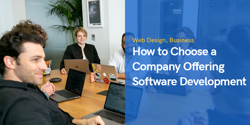 How to Choose a Company Offering Software Development Services?
