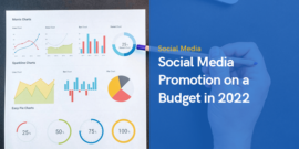 Social Media Promotion on a Budget