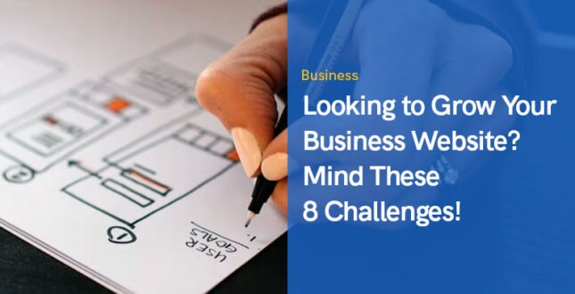 Looking to Grow Your Business Website? Mind These 8 Challenges!