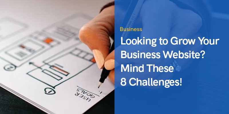 Looking to Grow Your Business Website? Mind These 8 Challenges!