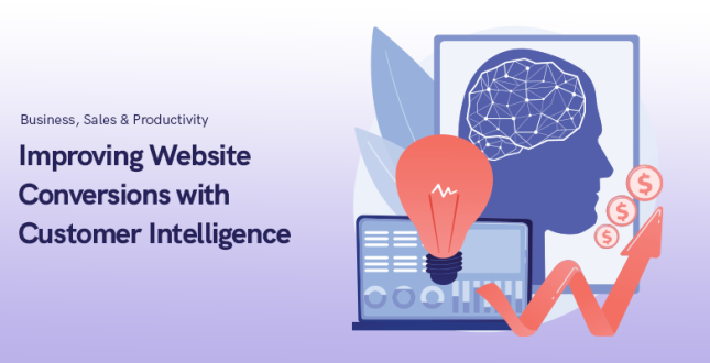 Improving Website Conversions with Customer Intelligence