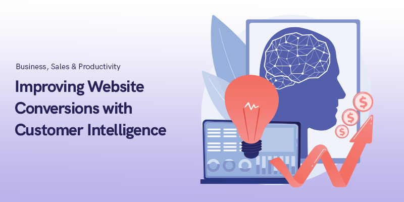 Improving Website Conversions with Customer Intelligence