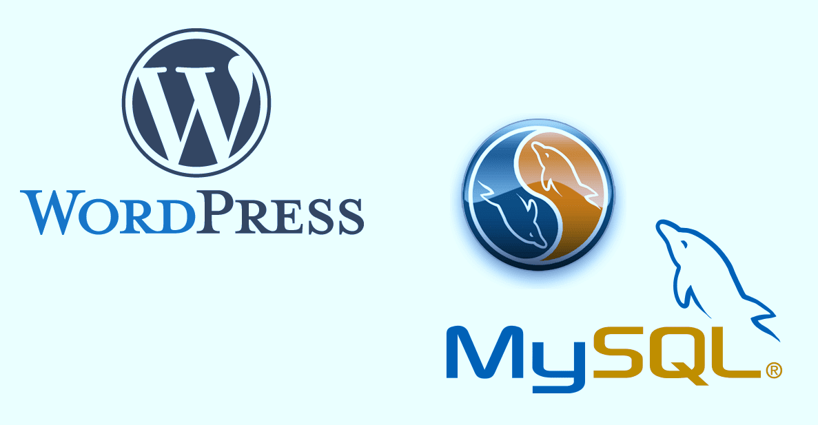 WordPress and MySQL