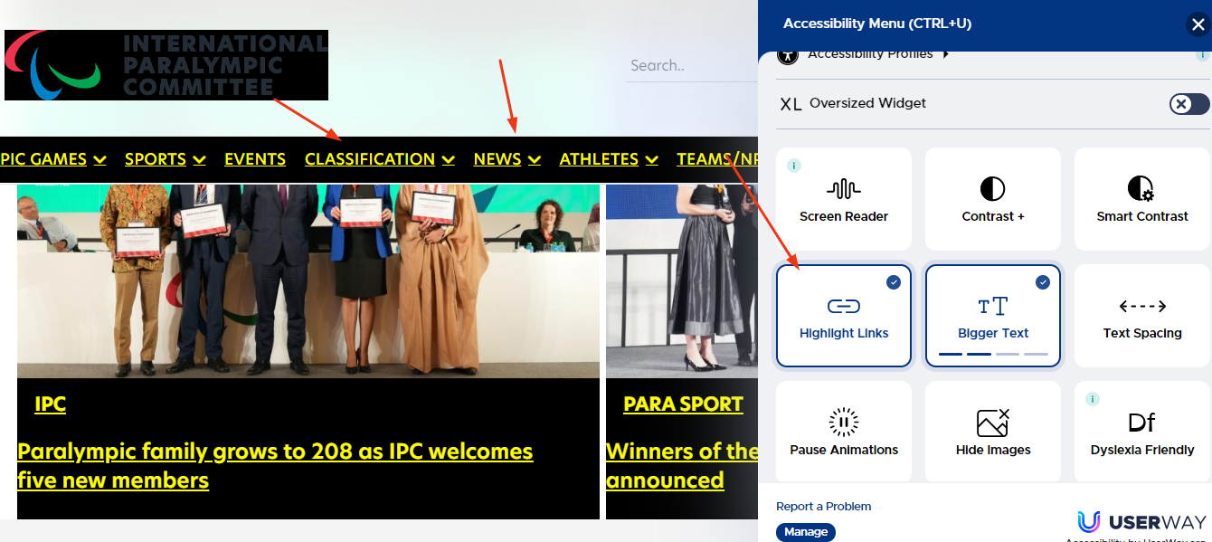 Accessibility menu