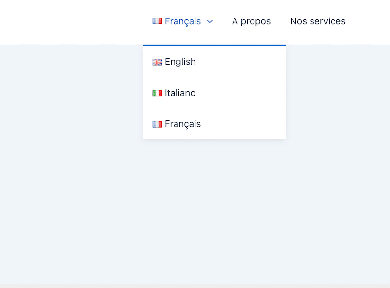 Language Switcher Examples