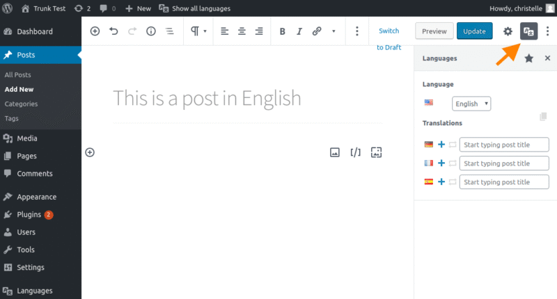 PolyLang Dashboard Screenshot - polylang vs wpml