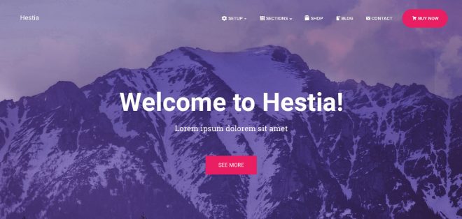 Hestia Teması | En iyi Elementor temaları Hestia Teması | En iyi Elementor temaları