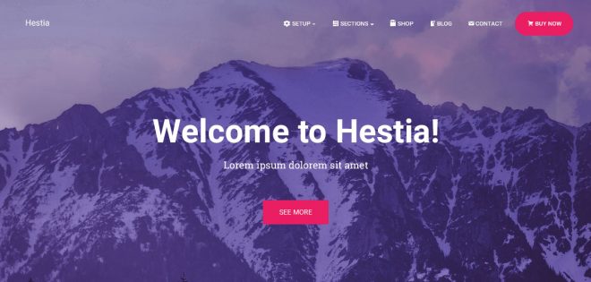 Hestia Theme | Best Elementor themes