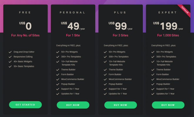 Elementor Pro Pricing Plans | How to Use Elementor